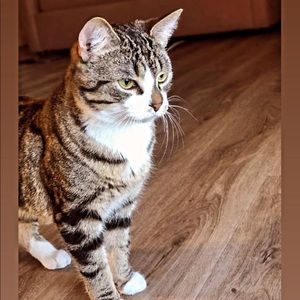 Meet your Posher, Christoffer